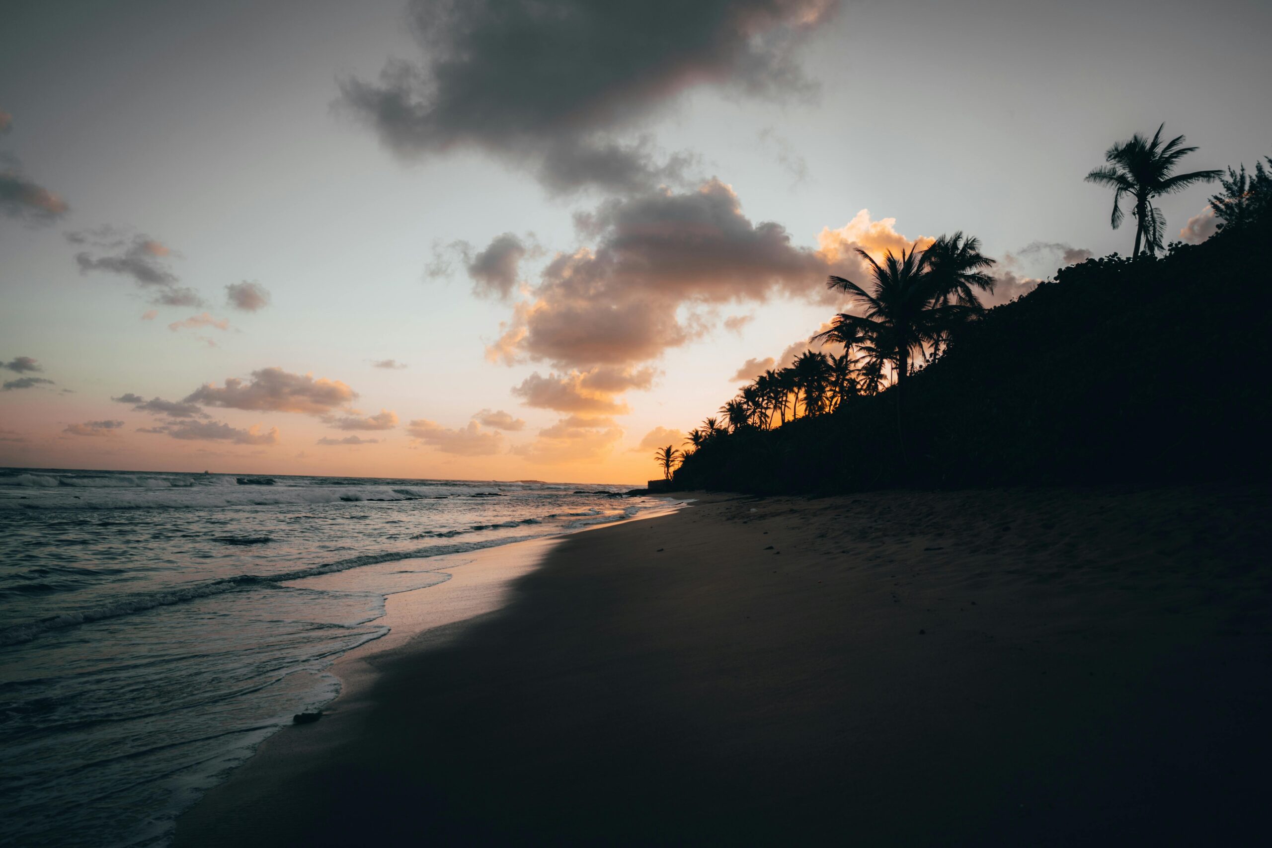 En este momento estás viendo Puerto Rico te extraño: Reconociendo el duelo de los que están afuera y los que quedan en la isla